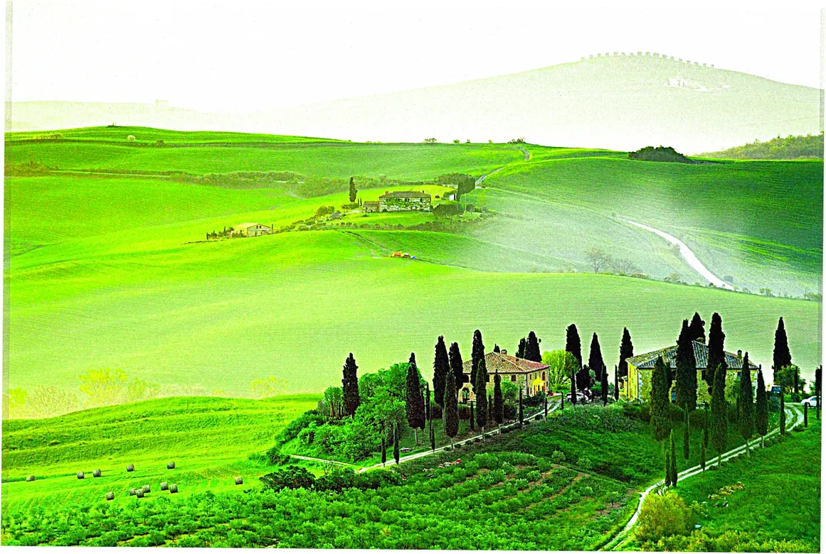 Curriculum Depth in Feng Shui Certification Training