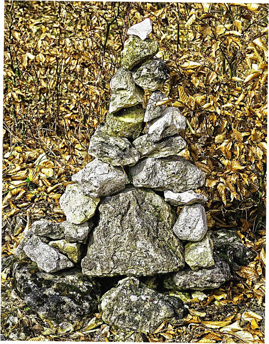 Career Pathways with Feng Shui Certification