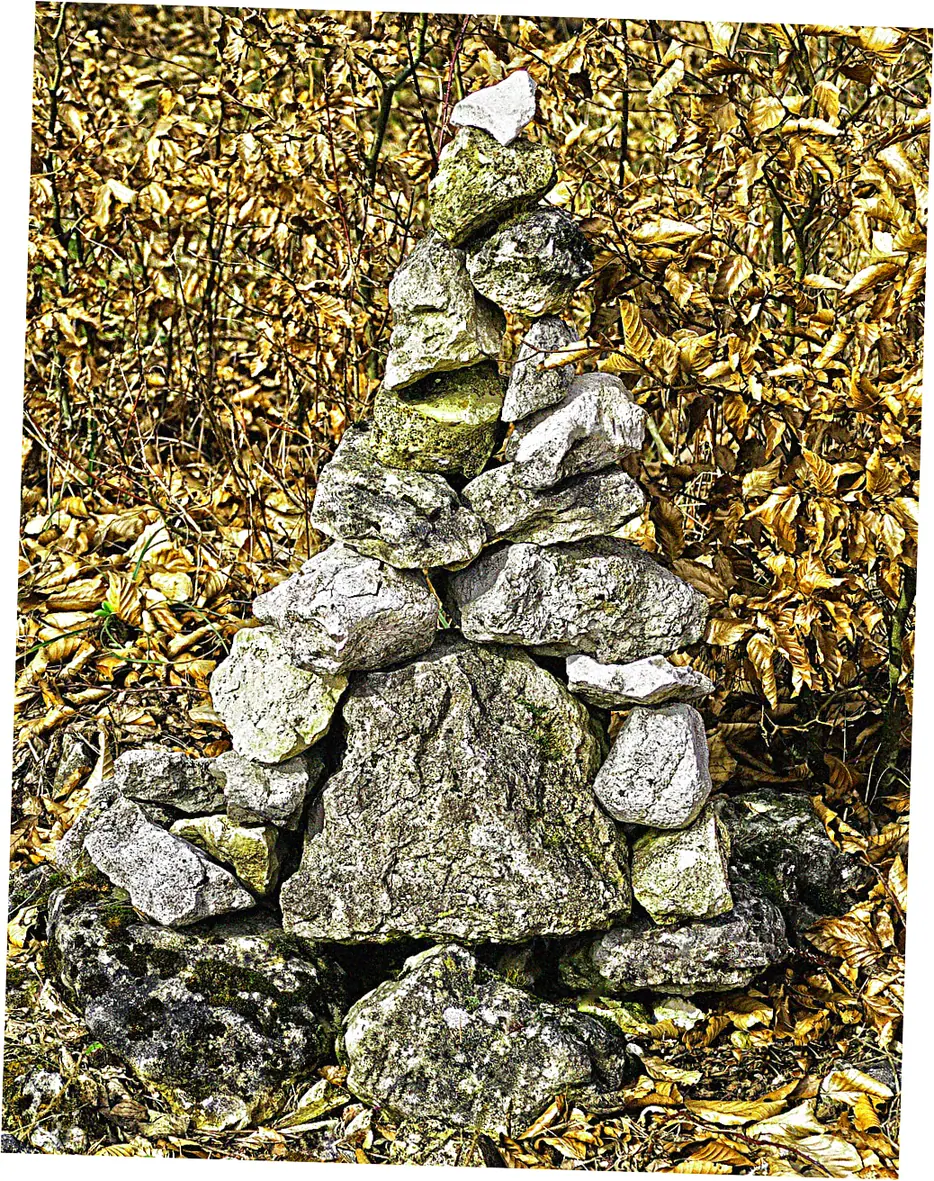 Feng Shui Consultation Process