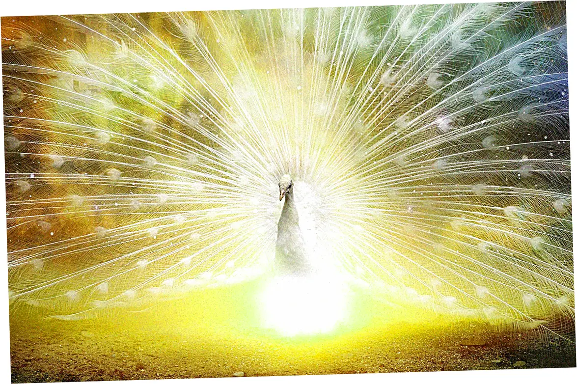 2. How Money Amulets Work: Energy Mechanics Explained